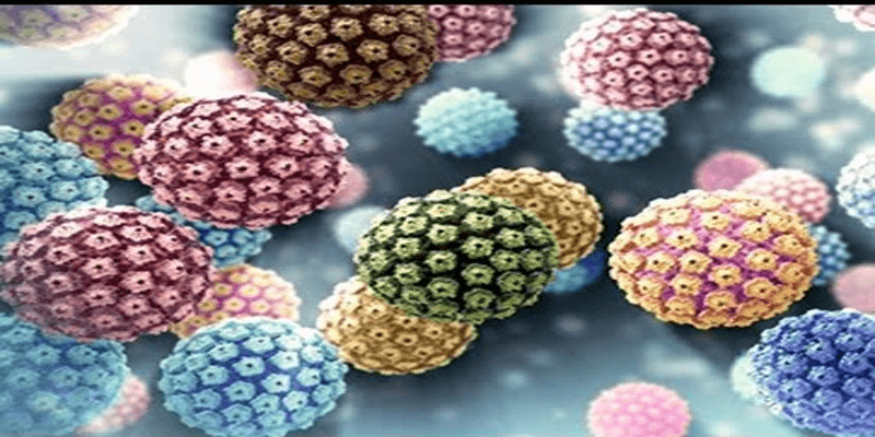 Read more about the article HPV Virüsü Tarihsel Gelişimi